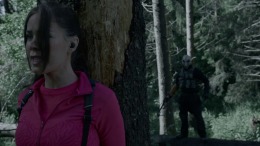 ����������� ���� The Run