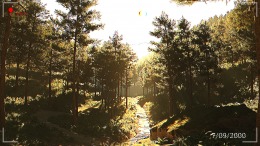 �������� ���� The Tall Man Tapes