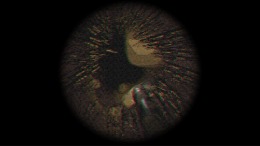 Tiny Chills - Not From Ear �� PC