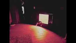 ������� Unwilling Host