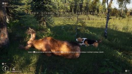 ������� Way of the Hunter 2