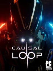 Causal Loop