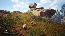 �������� Adorable Adventures