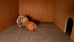 al �� ���������