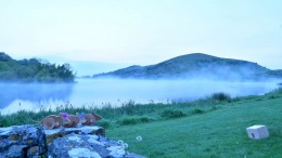 ������� al