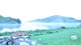 ����������� ���� al