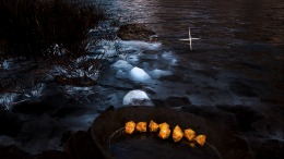 �������� Alaska Gold Fever