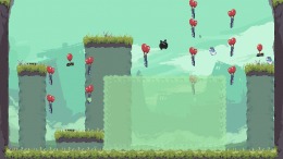 ����������� ���� Apocalyptic cat