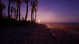 Away From Life �� PC