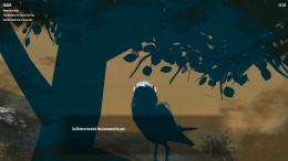 Birds Watching �� ���������