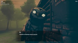 ������� Birds Watching