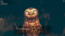 ������� ��� Birds Watching