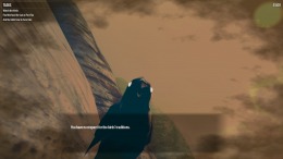 ������� Birds Watching