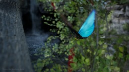 Dawn Break �����