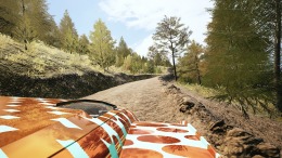 EA SPORTS WRC �� PC