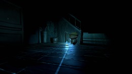 PAPER BIRDS �� PC