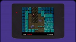 ������� Raider Kid and the Ruby Chest