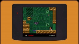 �������� ���� Raider Kid and the Ruby Chest