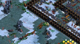Repterra �����