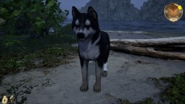 Restore Your Island �����