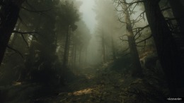 The Occultist �� PC