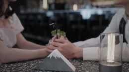 ������� THE VIG