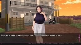 Afternoon Affairs & Helpless Housewives �� PC