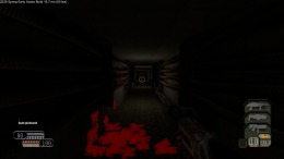 FLAW �� PC