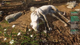 �������� Hillshade Farm