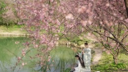 ������� Road to Empress I