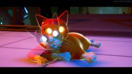 ����������� ���� Schrodinger's Cat Burglar