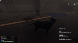������� ��� The Good Dog: Chasing Shadows