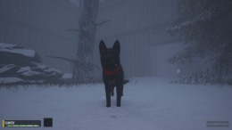 The Good Dog: Chasing Shadows �� PC