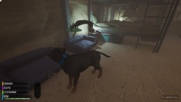 ����������� ���� The Good Dog: Chasing Shadows