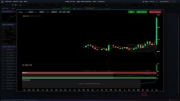 Wall Street Raider �� PC