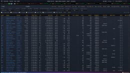 Wall Street Raider �����