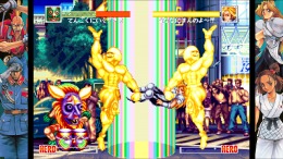 WORLD HEROES PERFECT �����