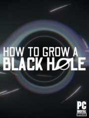 How To Grow a Black Hole