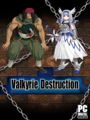 Valkyrie Destruction