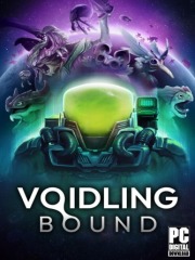 Voidling Bound