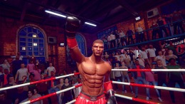 ����������� ���� Casual Sport Series: Boxing