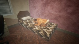 ������� Comatose
