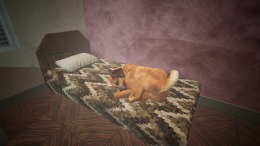 Comatose �� PC
