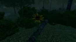�������� ���� Dread Fields