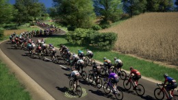 Pro Cycling Manager 26 �� PC