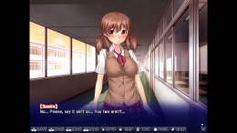 Sumire's Secret �� PC