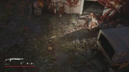 Where the forest ends �� ���������