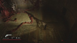 ������� ��� Where the forest ends