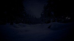 ������� ��� White Silence