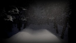 ����������� ���� White Silence